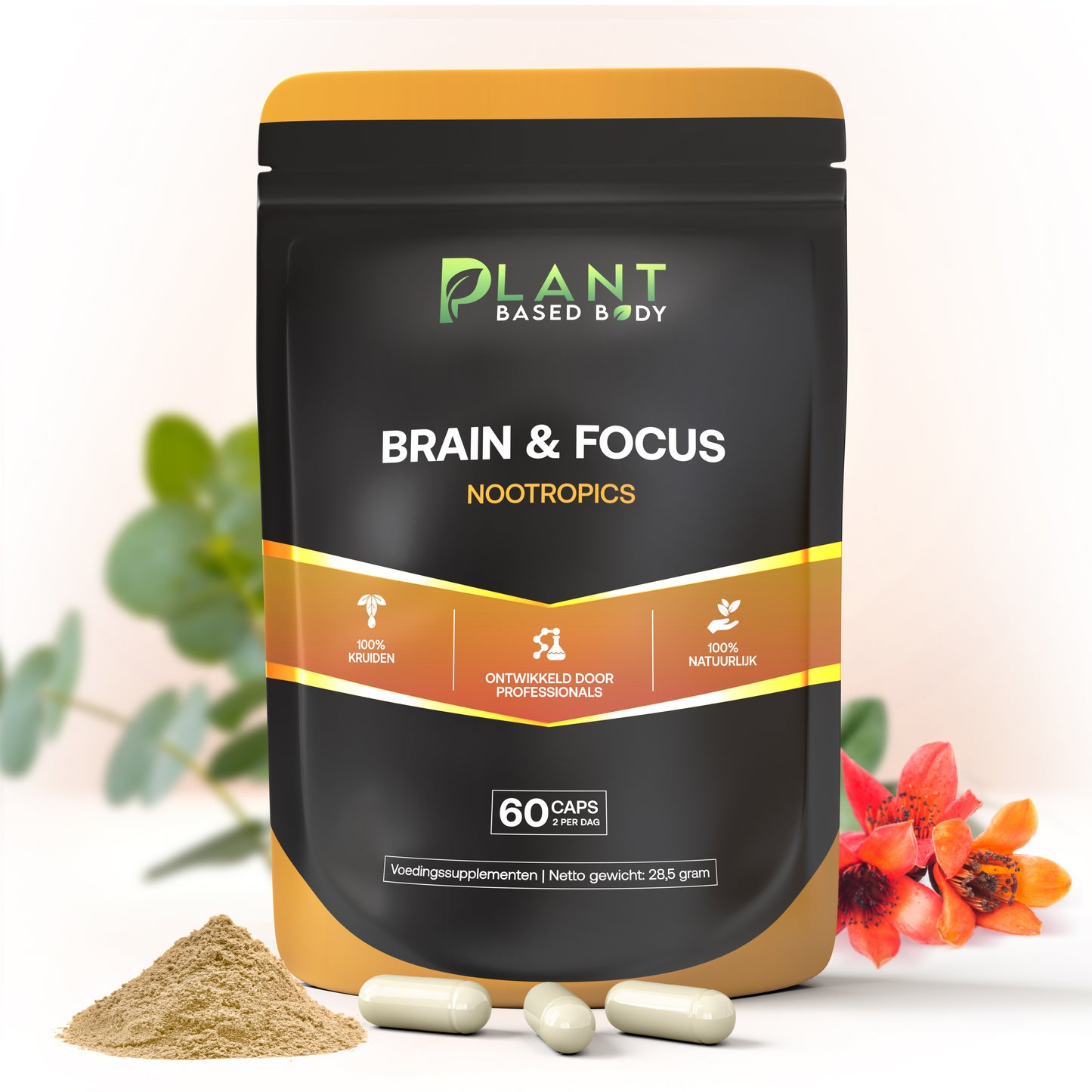 Brain & Focus - Nootropics – Mental Support - 60 capsules-Hairandnatureb2b
