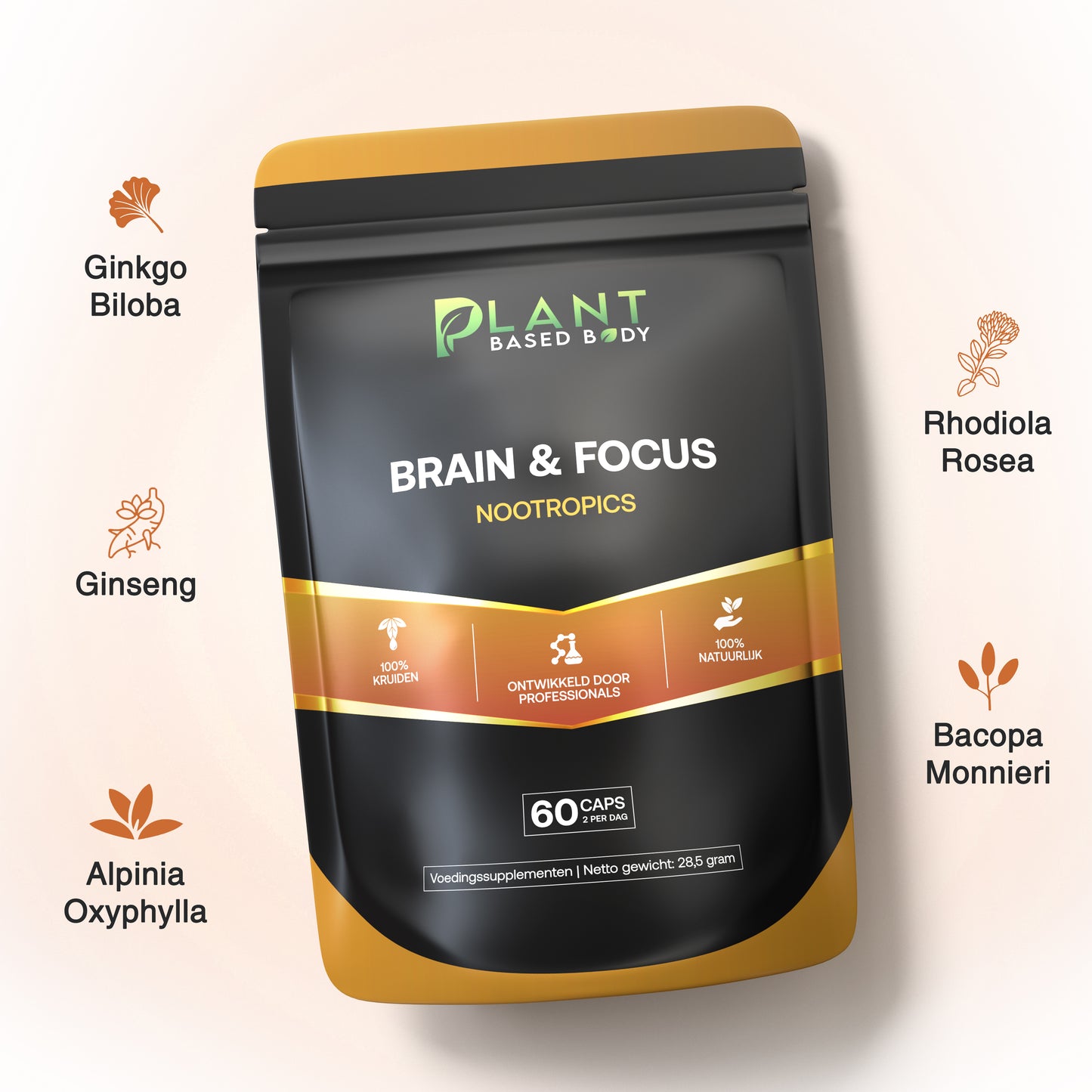 Brain & Focus - Nootropics – Mental Support - 60 capsules-Hairandnatureb2b