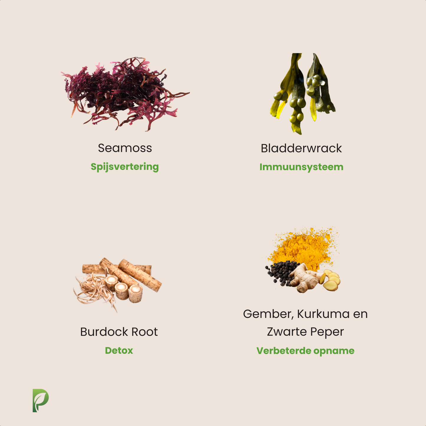 Irish Sea Moss - Superfood - 60 Capsules-Hairandnatureb2b