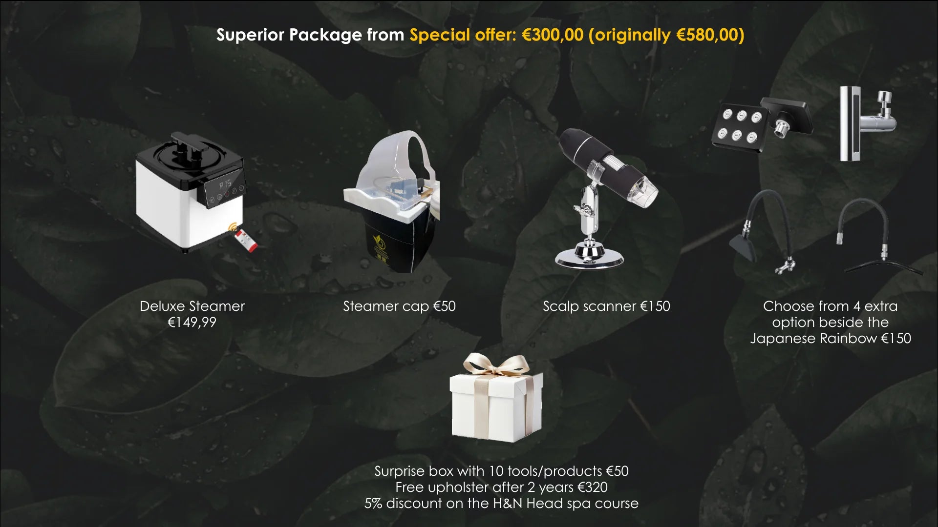 Japanese hoofdspa starterkit