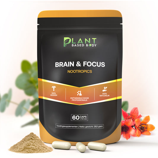 Brain & Focus - Nootropics – Mental Support - 60 capsules-Hairandnatureb2b