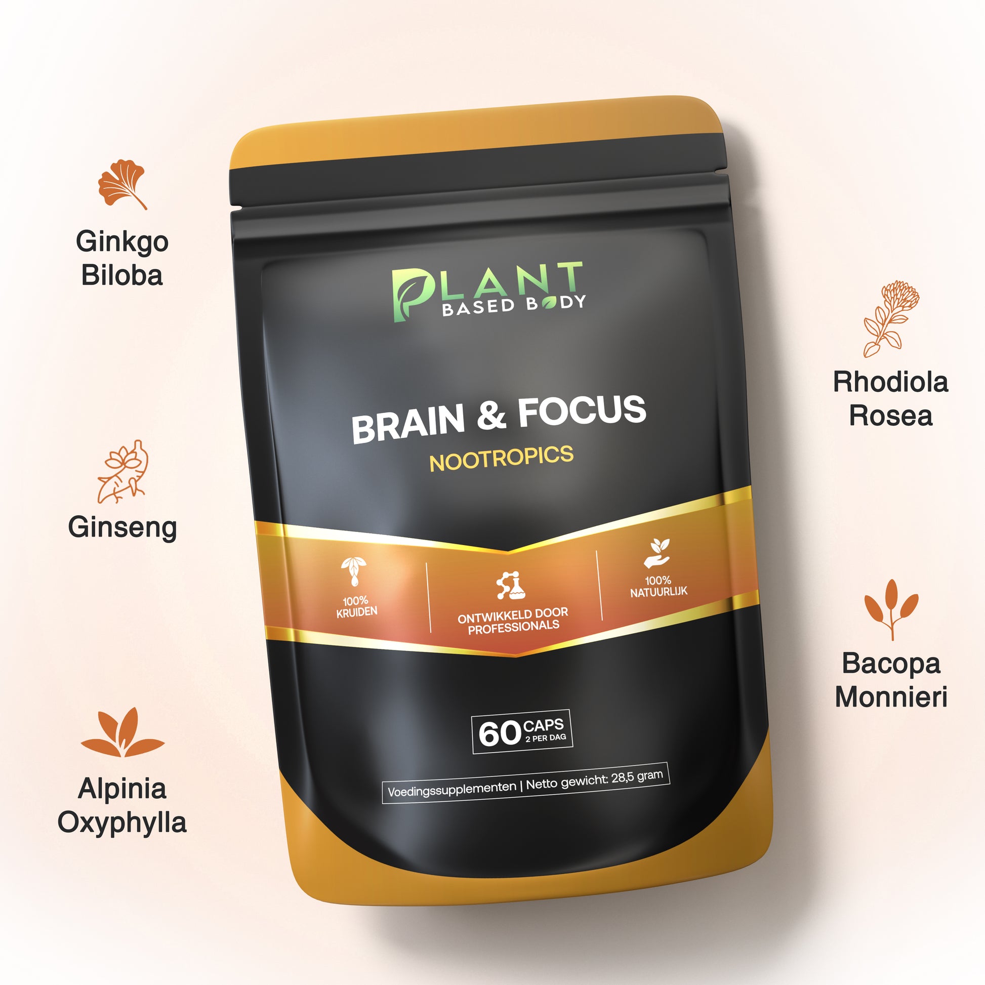 Brain & Focus - Nootropics – Mental Support - 60 capsules-Hairandnatureb2b