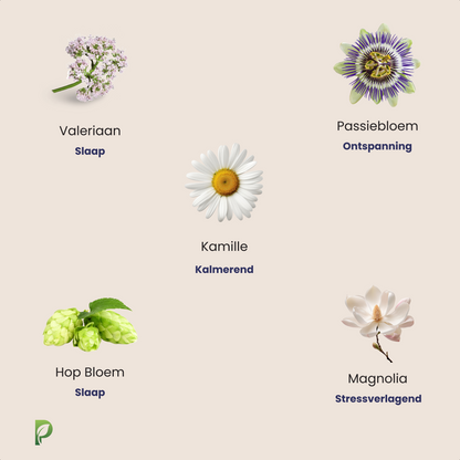 Deep Sleep – Natural sleeping pills for a good night's sleep and against stress – 60 capsules