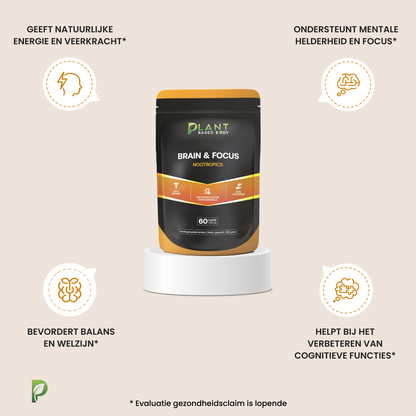 Brain & Focus - Nootropics – Mental Support - 60 capsules-Hairandnatureb2b